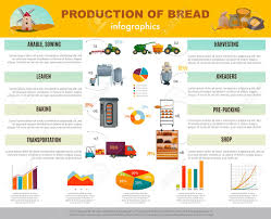 Bread Production Infographics With Information And Charts About