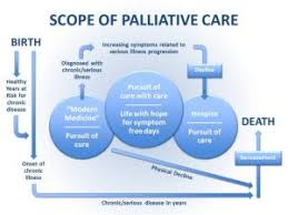 Her palliative care doctor made sure the pain was managed properly. Palliative Care Necessity Challenges And Actions To Be Taken Public Health Notes