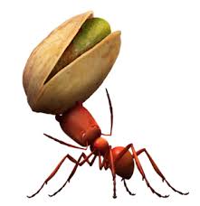 The Red Ant The Enemy Minuscule