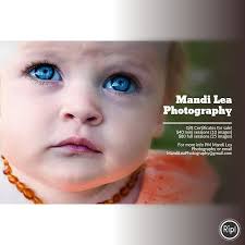 Mandi Lea Photography