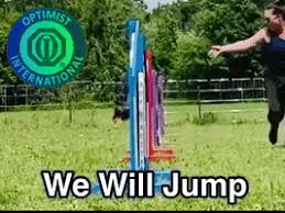 Jumping Through Hoops Gifs Get The Best Gif On Giphy