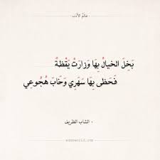 شعر الشاب الظريف بخل الخيال بها وزارت يقظة عالم الأدب