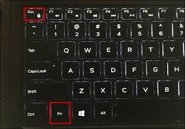 Read on for a quick explanation of these terms. How To Choose Whether Your Function Keys Are F1 F12 Keys Or Special Keys