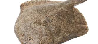 We did not find results for: Come Cucinare Il Rombo Cucinarepesce Com