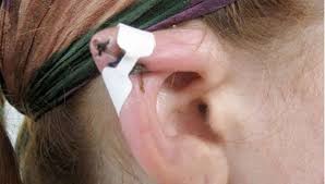 To subscribe to this rss feed, copy and paste this url into your rss reader. New Body Modification Trend Surgery To Look Like An Elf Ouch