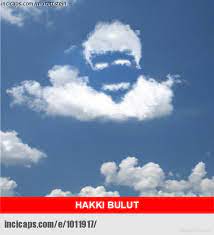 Almanların ikinci dünya savaşı'ndaki hataları 44; Hakki Bulut 705060 Uludag Sozluk Galeri