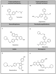 Image result for Selective Estrogen Receptor Modulator