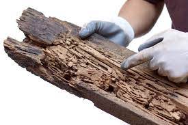 Smart pest control companies know the wide variety of chemicals available and. Repairs Remove Replace Damaged Wood Members Lloyd