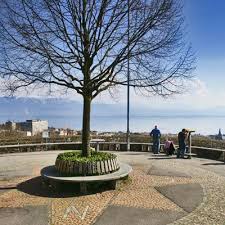 signal de sauvabelin lausanne vaud scenic views