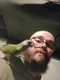 Parrot spotted in downtown Marion