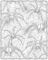 Color the spider webs coloring page. Spiders In Web Printable Spider Coloring Page Halloween Coloring Fall Coloring Pages