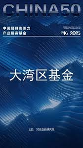 大湾区共同家园投资有限公司