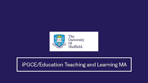 Pre & primary teacher training. International Postgraduate Certificate In Education Ipgce Ipgce 2021 Postgraduate The University Of Sheffield