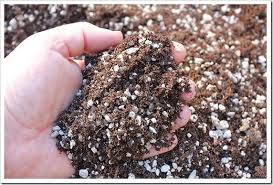 Succulents And More My Recipe For Fast Draining Potting Mix Succulents Succulent Soil Potting Soil