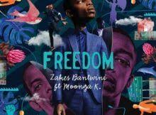 Fakaza 2019 South African Songs And Zamusic Mp3 Download African Music Celebrity Biographies Freedom