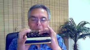 Ken Leiboff plays a "Hohner Harmonetta"