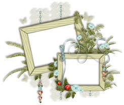 Vista aerea di fiori verdi sulla pianta, cornice completa è un'immagine stock autentica di designpicspremium. Portafoto Cornice Primavera Immagini Gratis Su Pixabay