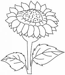 Sunflowers Coloring Pages Sunflower Coloring Pages Flower Coloring Pages Sunflower Colors