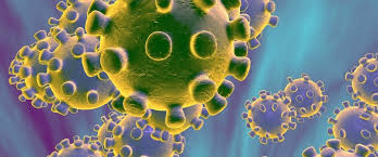 We would like to show you a description here but the site won't allow us. Corona Virus Updates Kaya Responsible Travel