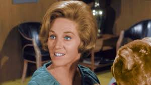 My Boss the Teddy Bear