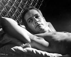 Cool Hand Luke Photos for Sale
