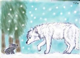 Back to black and white drawings of wolves. White Wolf Grey Rabbit By Thedrunkenwerewolf On Deviantart