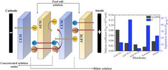 These ion exchange separation are much advanced and ideal for commercial uses. Crosslinked Terpolymer Anion Exchange Membranes For Selective Ion Separation And Acid Recovery Sciencedirect