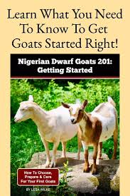Nigerian Dwarf Goats 201 Getting Started How To Choose Prepare Care For Your First Goats Nigerian Dwarf Goats Dwarf Goats Nigerian Dwarf