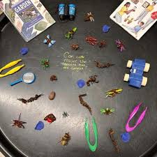 Meet The Team/Shout Outs