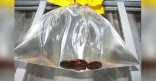 Here S What It Means If You See A Neighbor With Coins In Water Hanging From Their Front Door Get Rid Of Flies Fly Repellant Natural Fly Repellant
