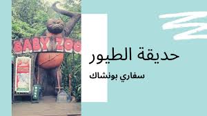 سفاري بونشاك حديقة الطيور اندونيسيا Youtube