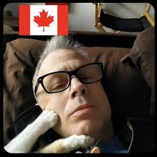 How to remove a dead frog from a car headlight?