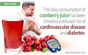 What are the cranberry juice benefits? Cranberry Juice Helps Reduce Cholesterol And Improves Glucose Metabolism Study Reveals