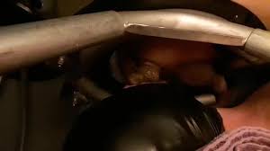 Feeding iamtoilet - ThisVid.com