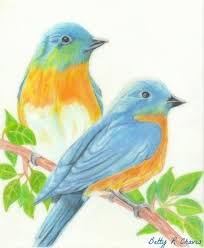 Pin By Saara Dalal On Color Pencils Bird Drawings Pencil Drawings Pencil Drawings Of Animals
