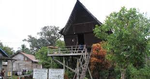 Feb 09, 2021 · beberapa keunikan setiap rumah adat di indonesia, di antaranya: 5 Keunikan Rumah Tambi Dan Filosofinya Lengkap Budayanesia