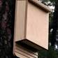 Build a Bat Box