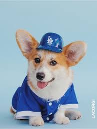 Kim Karch's Instagram, Twitter & Facebook