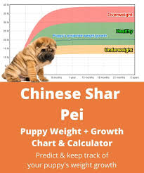 Usda licensed commercial breeders account for less than 20. Chinese Shar Pei Weight Growth Chart 2021 How Heavy Will My Chinese Shar Pei Weigh The Goody Pet
