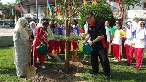 Health facilities like island hospital as well as. St George S Girls School Gets Involved In Tree Planting Buletin Mutiara