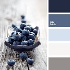 Does blue go with gray? Color Palette 1439 Room Colors Colour Schemes Color Palette
