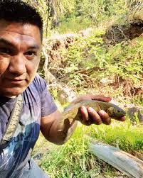 New Mexico Trout Challenge