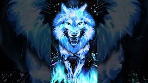 Samsung Theme Live Wallpaper Blue Fire Wolf Youtube Free for commercial use no attribution required high quality images. samsung theme live wallpaper blue fire
