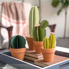 Making custom digitizing of any complexity. Diy Paper Cacti Plants In Terracotta Pots Lia Griffith