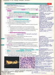 The Complete Guide On How To Study Pathology In Med School Http Writtenbykanra Blogspot Com 2018 01 Pathology Study Medical School Studying Studying Medicine