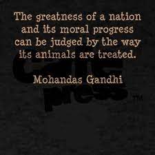 Pawprintghandi Men S Value T Shirt Gandhi Animal Quote Light T Shirt Cafepress Animal Quotes Quotes Beautiful Quotes