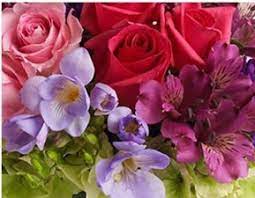 United states of america, new york, 3224 30th street, astoria, ny, us, 11106. Flowers On Broadway Florist Astoria Ny Sulekha