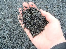 We did not find results for: Black Sand Beach Shelter Cove
