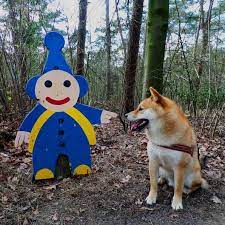 Pin Op Kasterlee In Beeld