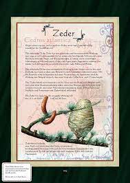 pin von merkal auf pagan krauter pflanzen krauter heilkrauter